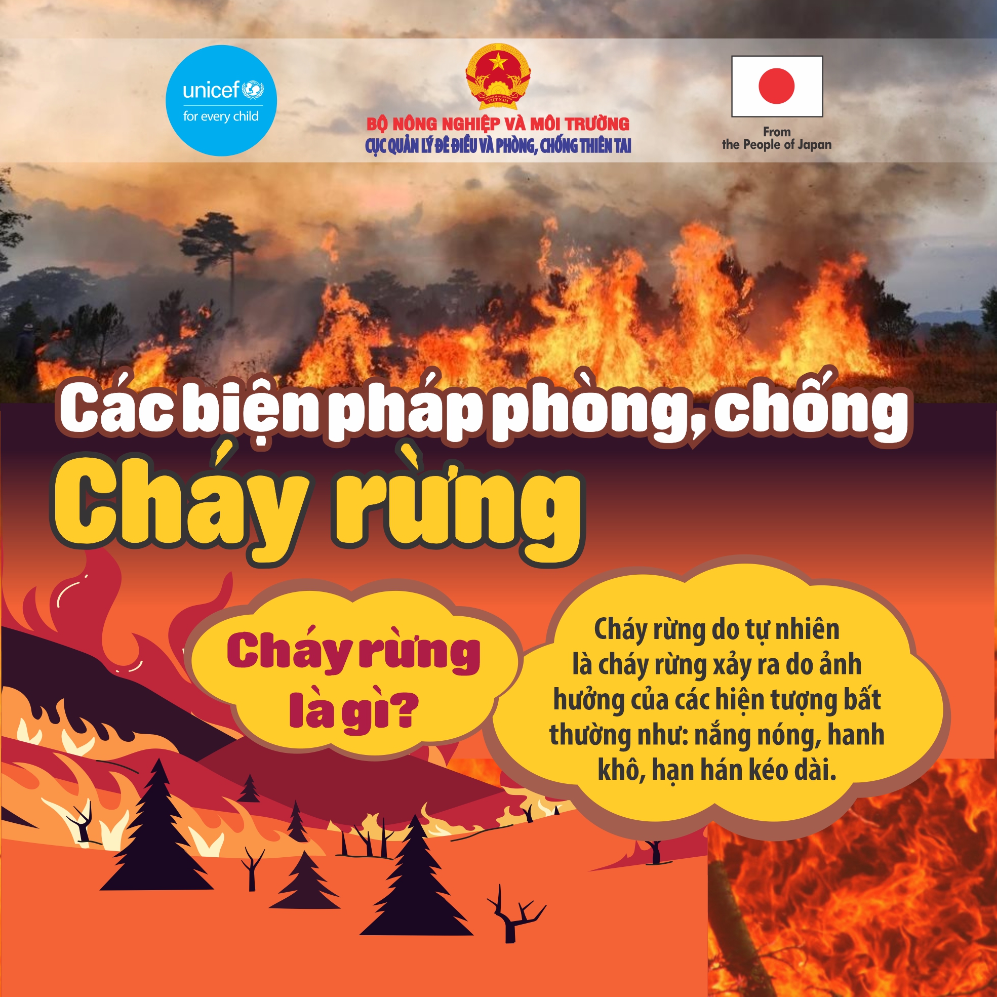 Hướng dẫn kỹ năng ứng phó với cháy rừng